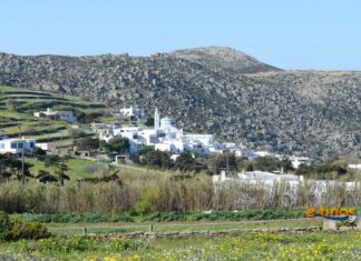 Κοπή πίτας στην Μυρσίνη Τήνου