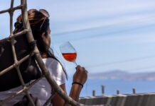Τήνος – Εμπειρία γευσιγνωσίας κρασιού στο Οινοποιείο Vaptistis