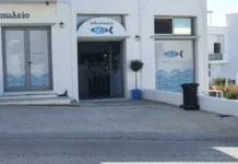 Προσφορα στο ιχθυοπωλείο στην Τήνο “Pelagus”