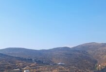 Προκήρυξη Υποτροφιών Κληροδοτήματος Κ. Σαρδελά της Κοινότητας Πανόρμου