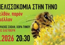 Η Μελισσοκομία στην Τήνο