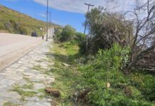Τήνος – Ξεκίνησαν οι καθαρισμοί στον Περιφερειακό