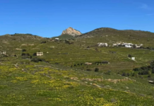 Βόλτα στην καταπράσινη Τήνο για τα παιδιά του 1ου Δημοτικού