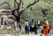 Γίνε εθελοντής στο Διεθνές Εργαστήριο Ξερολιθιάς στην Τήνο