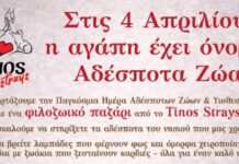Φιλοζωικό παζάρι για τα αδέσποτα της Τήνου