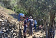Σε πλήρη εξέλιξη το Διεθνές Εργαστήριο Ξερολιθιάς στην Τήνο