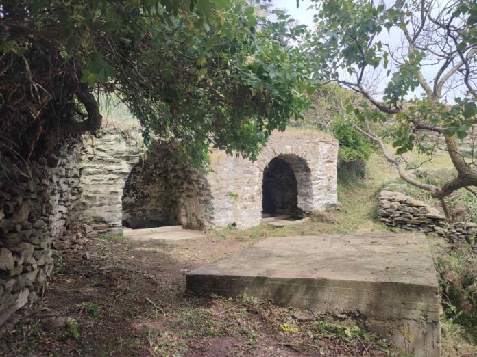 arnados