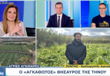 Αφιέρωμα του ΣΚΑΪ στην Αγκινάρα Τήνου