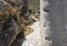 Εθελοντικοί καθαρισμοί στον Κουμάρο Τήνου