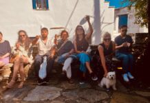 Greek Out: Όταν η Τήνος γίνεται μια μεγάλη αγκαλιά για ξένους που μαθαίνουν ελληνικά