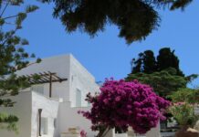 Δράσεις προετοιμασίας για το άνοιγμα του Μουσείου – Οικίας Γιαννούλη Χαλεπά