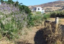 Καθαρίζεται το λαγκάδι της Αγίας Βαρβάρας στην Τήνο