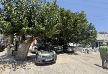 Τήνος: Προσωρινή διακοπή ηλεκτροδότησης για κλάδεμα δέντρων στη Χώρα