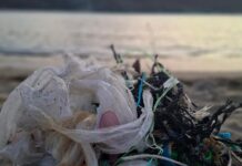 Η αγαπημένη μας Κολυμπήθρα χρειάζεται τη φροντίδα μας