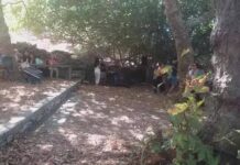 Απόγευμα στην Καταπολιανή Υστερνίων με την Κ.Ο. Τήνου του ΚΚΕ