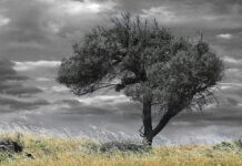 Χρώμα στην Σιωπή, έκθεση φωτογραφίας στο Δια Χρόνος
