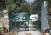 Έρανος ενίσχυσης Συλλόγου «Οι Φίλοι του Πρασίνου Τήνου»