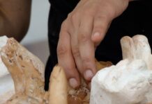 «Χέρι και εργαλείο» στο Μουσείο Μαρμαροτεχνίας Τήνου