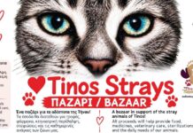 Ένα παζάρι για τα αδέσποτα της Τήνου