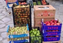 Φρέσκα φρούτα στους μαθητές του 1ου Δημοτικού Σχολείου Τήνου