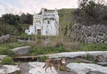«Το Αόρατο Νήμα υφαίνει» στην Τήνο